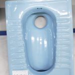 Step Asian Toilet